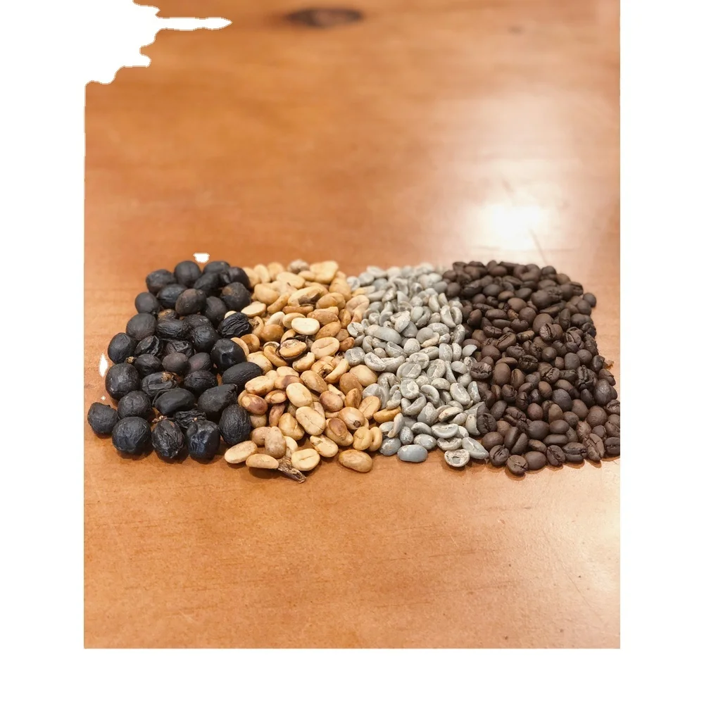 Roasted Arabica Catimor Good Price Green Beans Coffee Agricultural Oem Service Vietnamese Coffee Vietnam Coffee Manufacturer