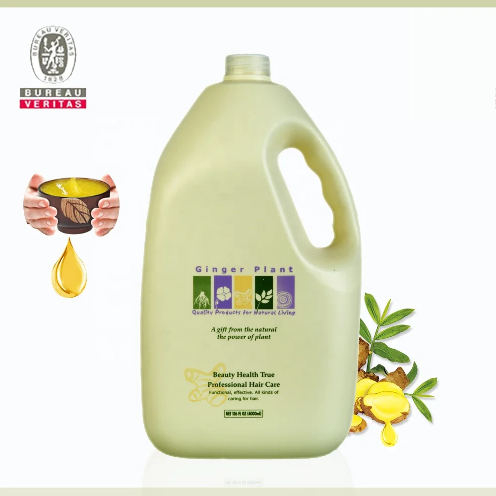 Wholesale Gallon Bulk Ginger Brand Name Nourishing 4000ml Hair Shampoo In Bulk