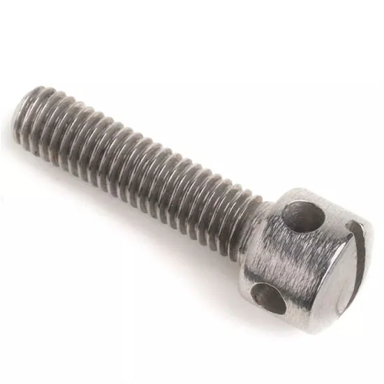 LEITE Manufacturer DIN 404 M3 M4 M5 M6 stainless steel meter sealing slotted capstan screw