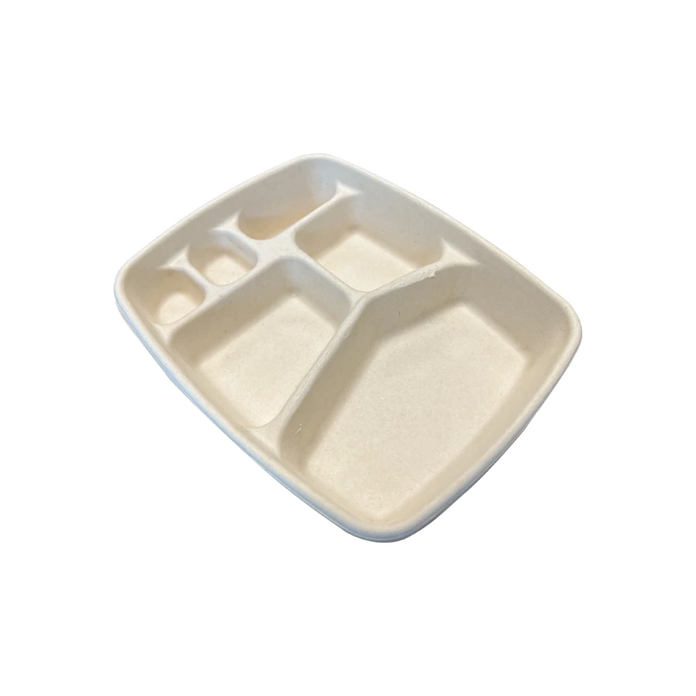 6 Compartments Disposable Compostable Tray Takeaway Food Packaging Containers Sugarcane Bagasse