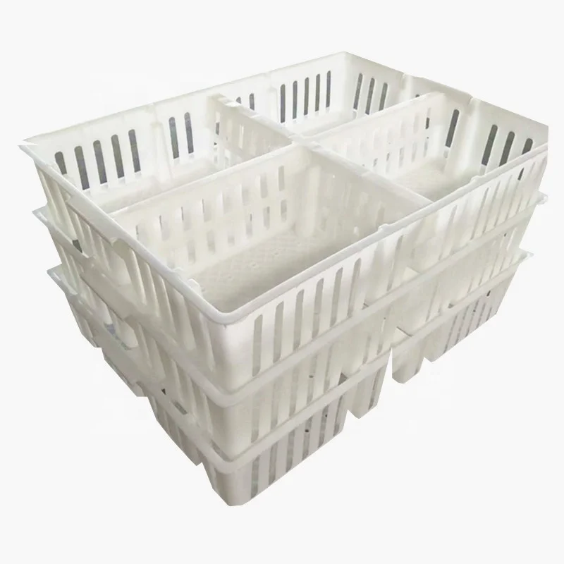 plastic transport box crate for chicks.jpg