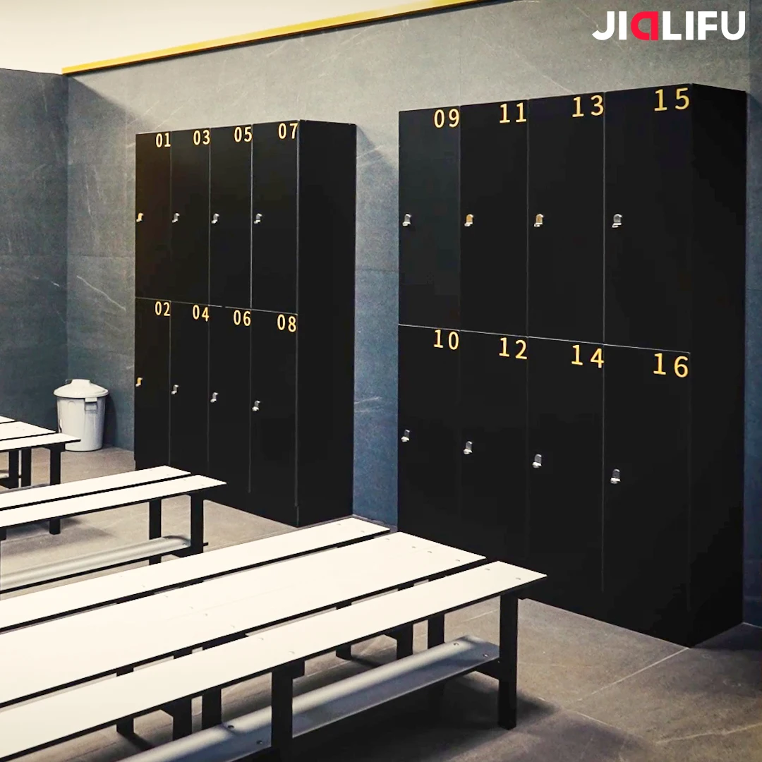 Hot Sale Custom Style Spain 2 Compartment Gym Locker With Number Plates