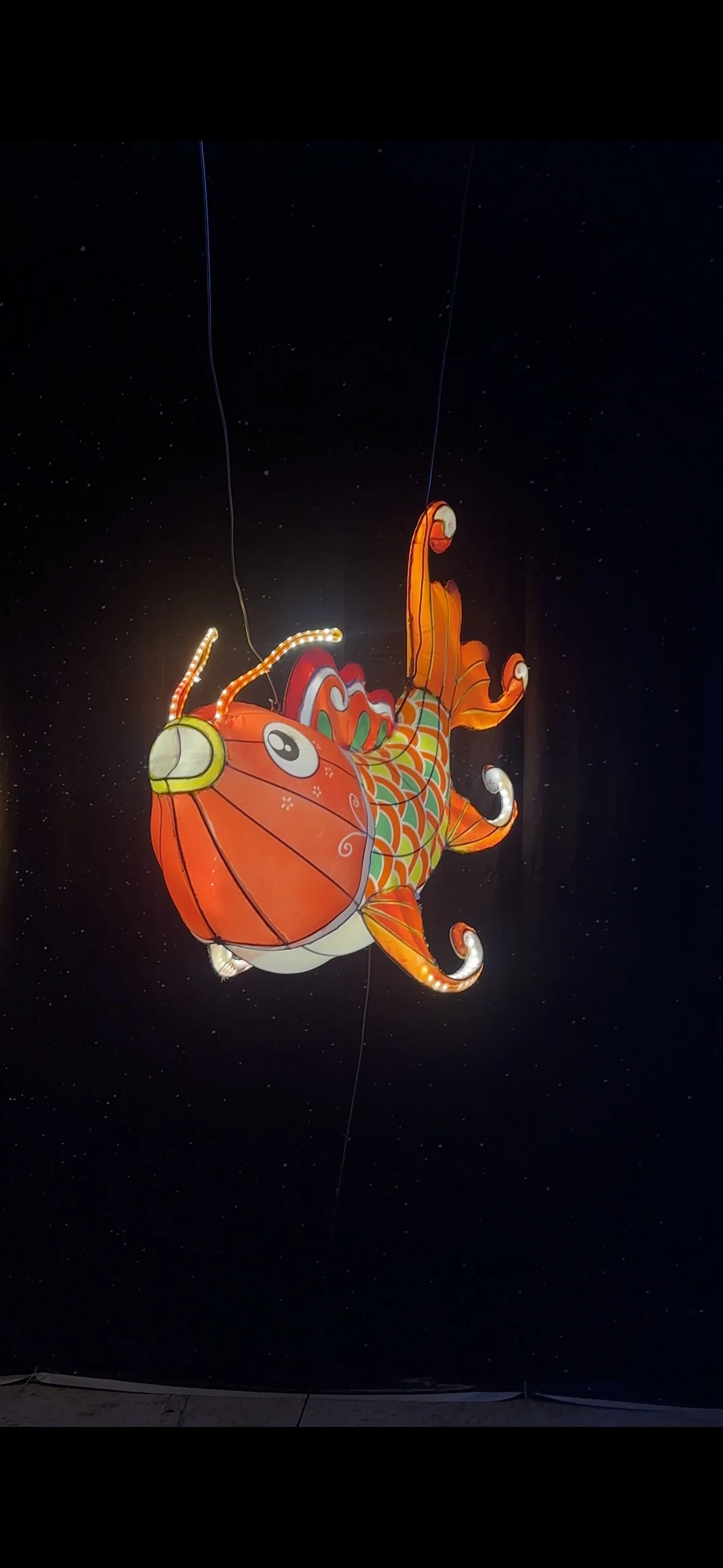 Perfect Quality Beautiful Magnificent Solemn Respectful Exquisitely Detailed Fish Lamp