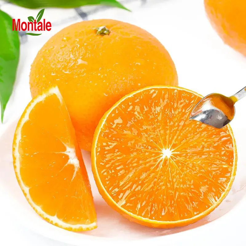 orange fruit newhall orange new market tang orange