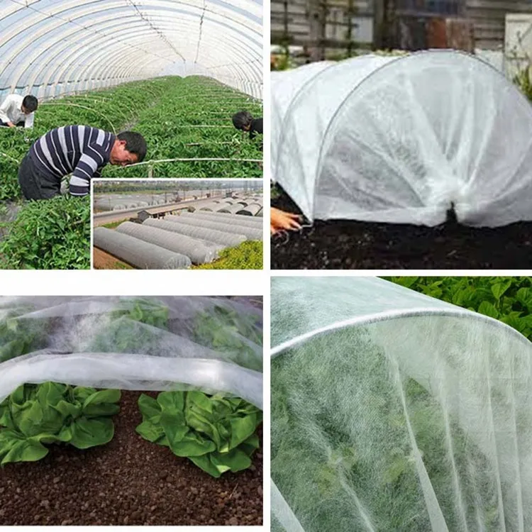 Biodegradable Vegetable Garden seed anti-insect anti-freezing nonwoven fabric cover Spunbond friendly non-woven fabric