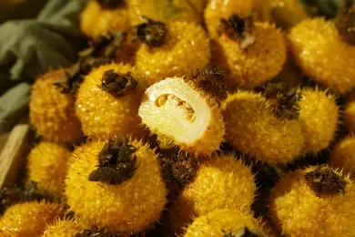 Best Price High Quality Organic Free Sample Rosa Roxburghii Extract SOD 10000U