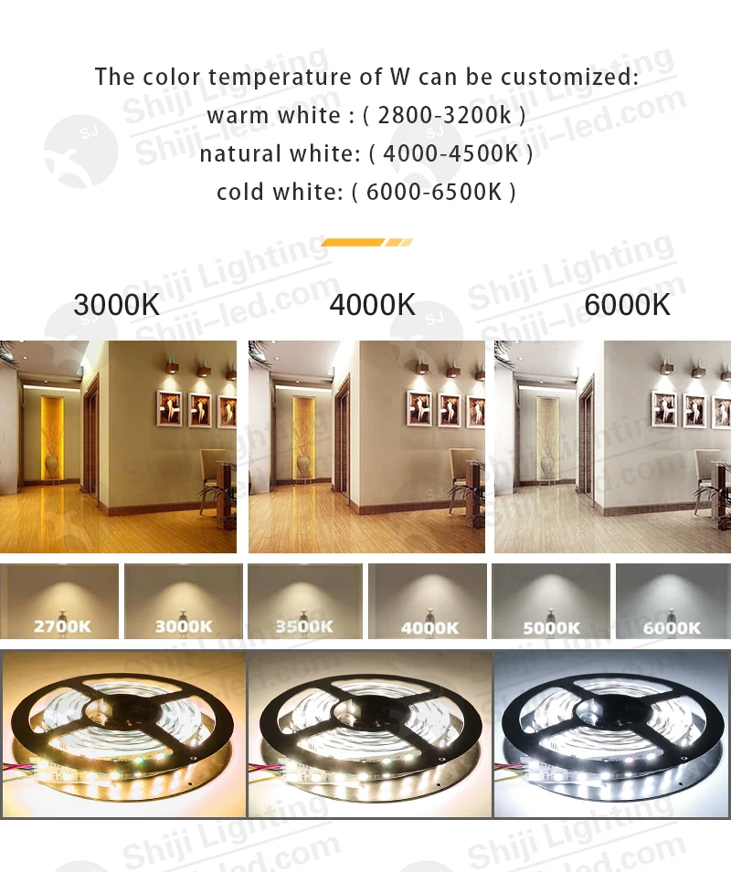 SHIJI UCS2904 RGBW (9)