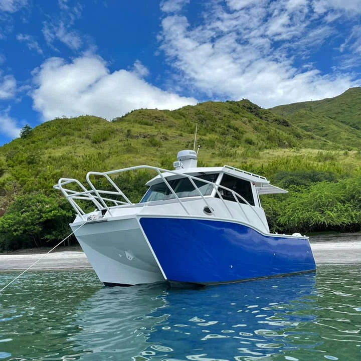Poseidon 8.8m welded aluminum catamaran twin hull fishing vessel speed boat with cabin for offshore cruising