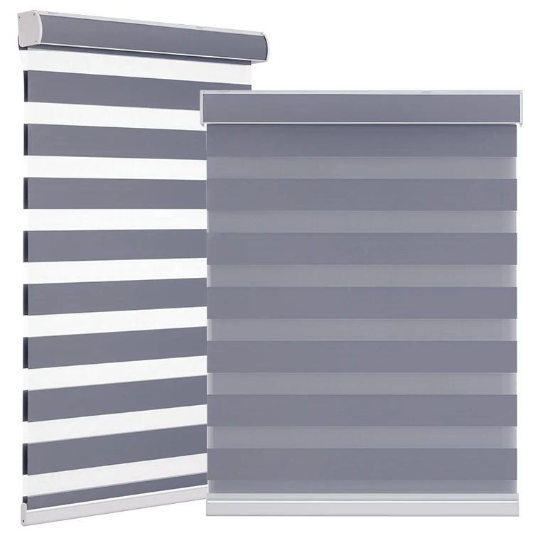 Manufacturer Price Window Blind Smart Motorized Double Roller Blinds Electric Window Shade Zebra Blinds