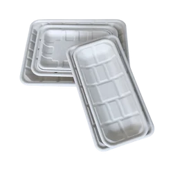 10Inch Hollowware Tableware Disposable Bbq Fast Food Rectangular Shaped Trays Serving Supermarket Meat Tray