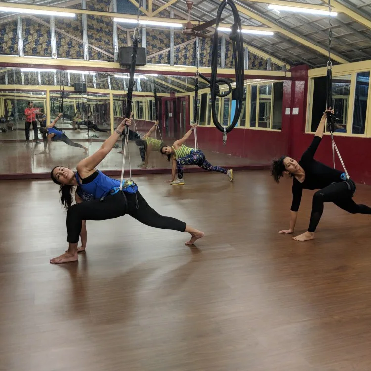 New Fitness Bungee Dance Equipment Swing Harness Rope