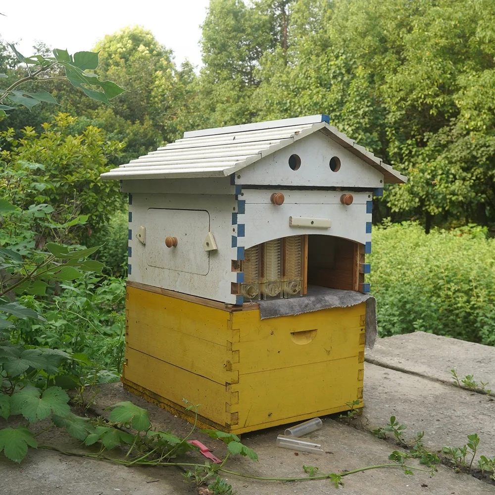 7 Pcs Honey Comb Auto Flowing Frames Autoframe Bee Hive Box Automatic Beehive