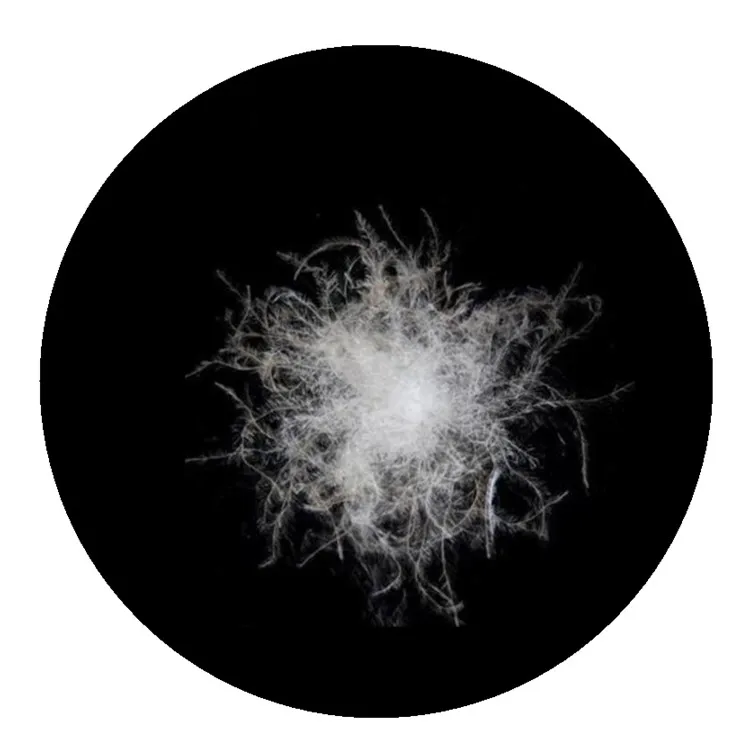 
Bulk down feather fill material 30% washed grey duck down 70% duck feather for pillow/ duvet/cushion 