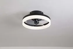 Bada Factory 100w Led Designed Light For Home Bedroom Ceilings Fan Smart Dimmable Indoor Led Smart Ceiling Fan Light