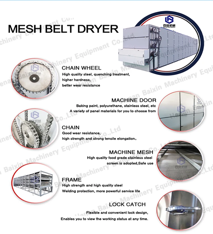 Mesh belt dryer (3).jpg
