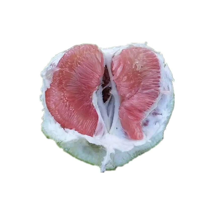 Chinese fresh high qualitykids tights orangestar ruby grapefruit  terminal block orangeclementines seed honey pomelo leaves