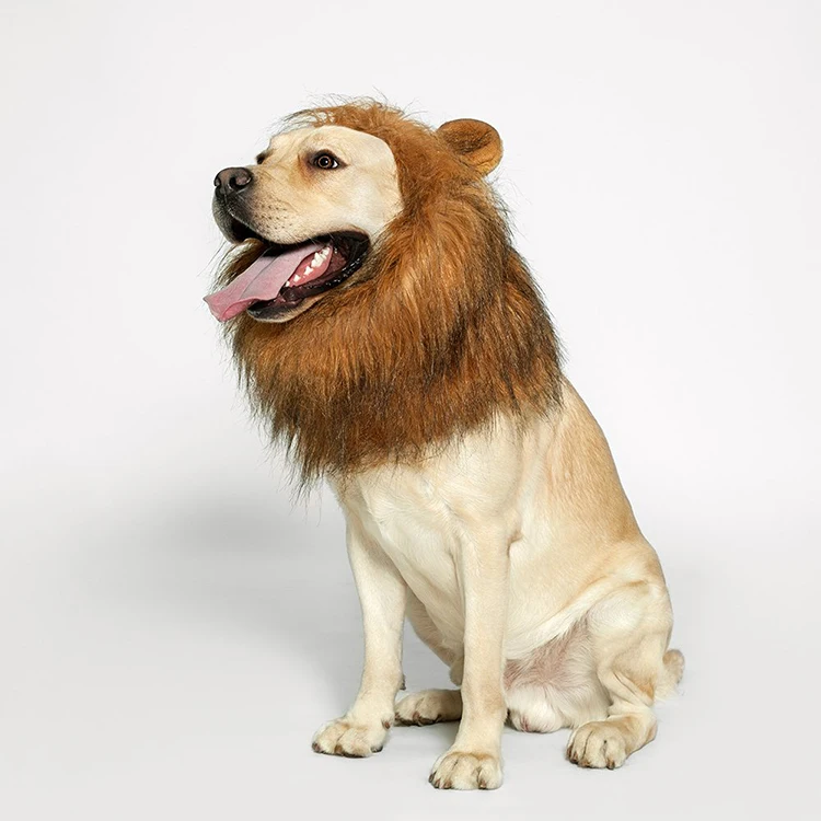 Halloween Funny Lion Mane Apparel Pet Costume Hoody Jacket Sweater Coat Costumes Dog Clothing for Dog