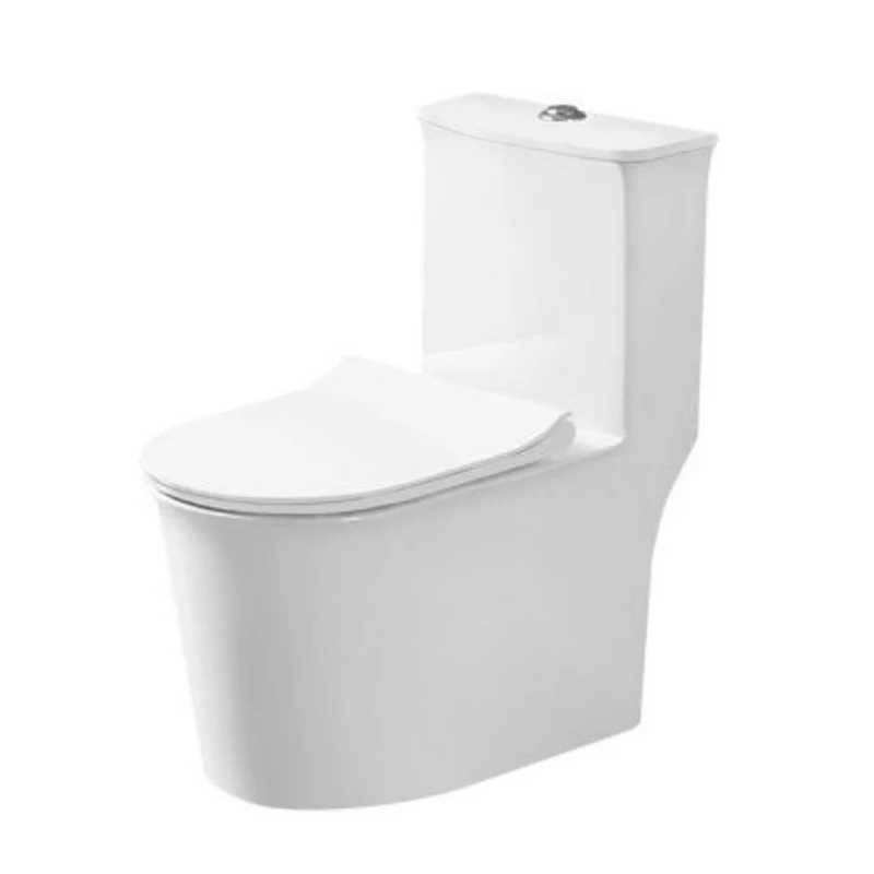 Ware Ceramic Floor Mounted Washdown or Siphonic One-Piece Mideast  Bathroom Toilet
