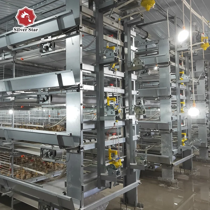 China good quality q235 steel galvanized wire mesh use for chicken birds poultry battery broiler cage