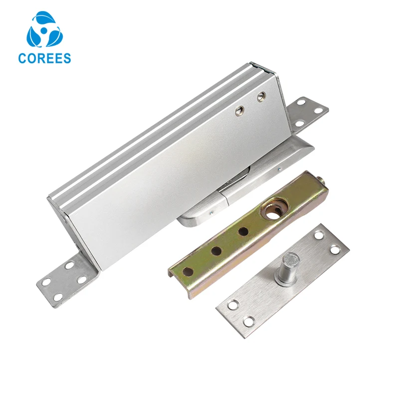 free floor spring frameless glass door hidden elastic-type hydraulic clamp top-bottom shaft hinge APP