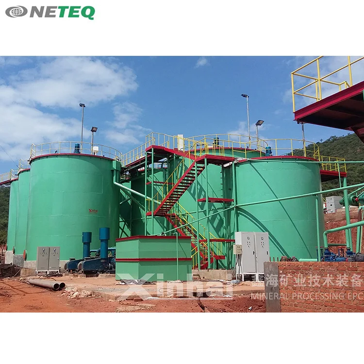 New Gold Processing Equipment / Minerals Gold Extraction Machine With Factory Price