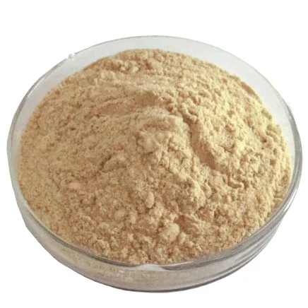 100% natural and safe yeast extract powder for food additive