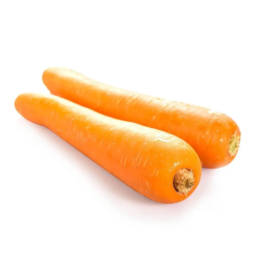 
wholesale China fresh carrot red carrot 