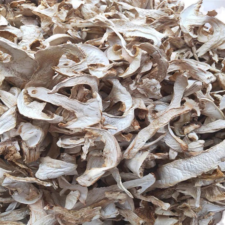 Customized New brand matsutake mushroom tricholoma matsutake freeze dried matsutake