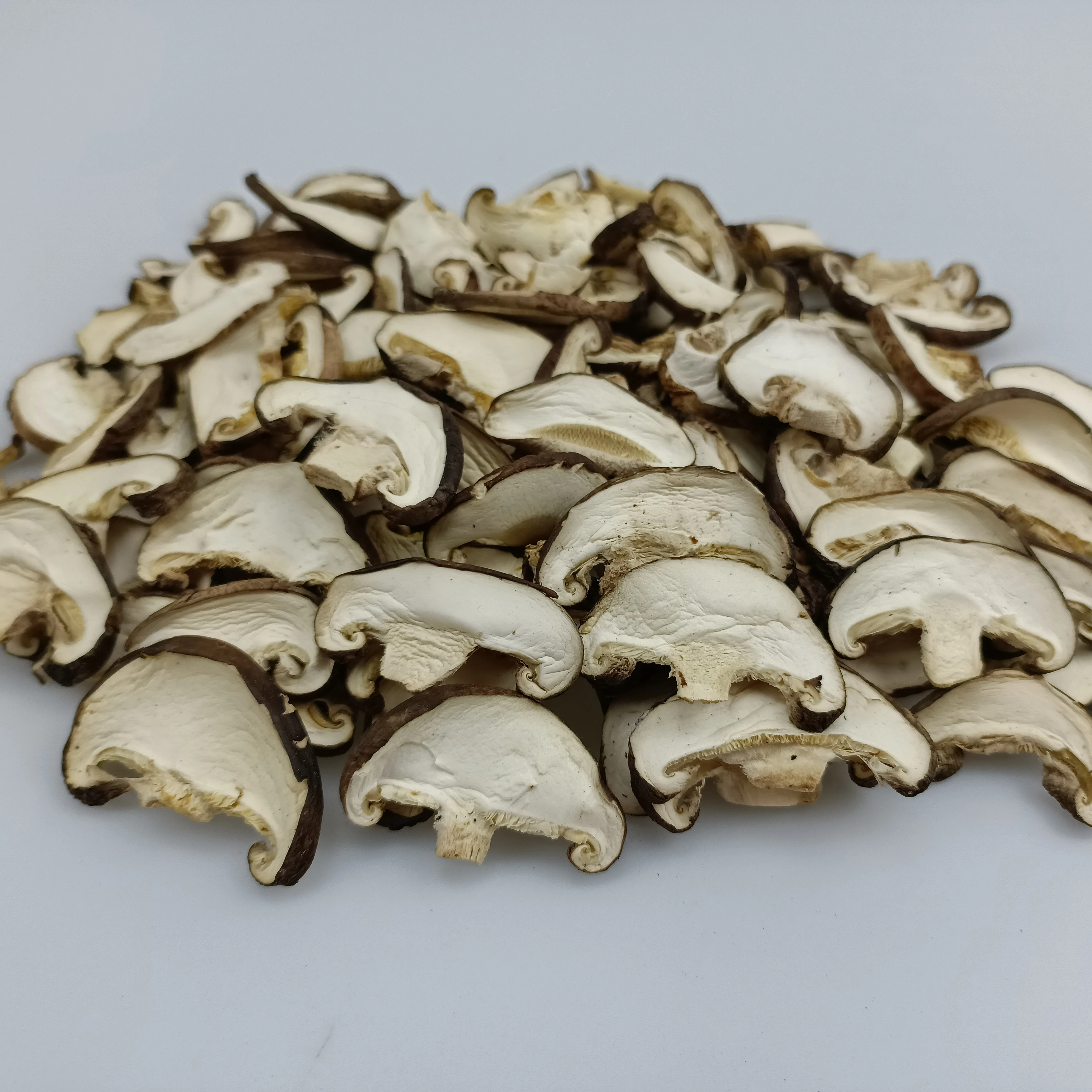 Autoclavable Gusseted Mushroom Growing Kit Filter Patch Bag White Style MUSHROOMS Plastic Color Weight Material Shelf Raw Origin