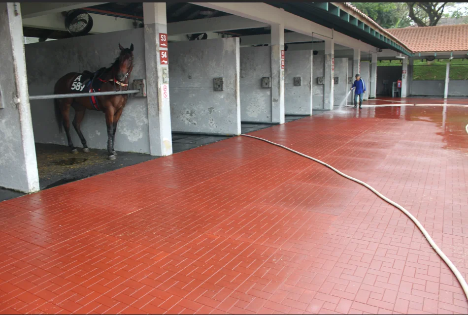 Cheap Animal Rubber Mat Cow Horse Stable flooring horse mat rubber For Sale