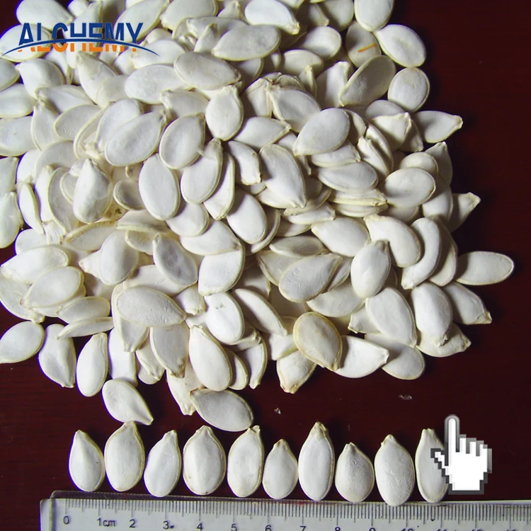 online all kinds organic non gmo hybrid dried white pumpkin seed seeds turkey price