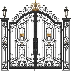 iron fancy gate boundary wall gate design