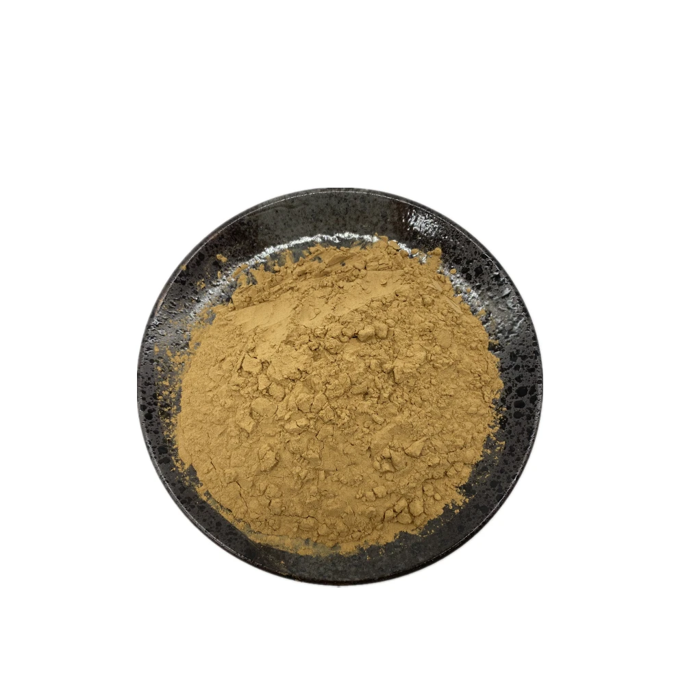 Низкая оптовая цена экстракт корня Coleus Forskohlii порошок 20% Forskolin coleus forskohlii