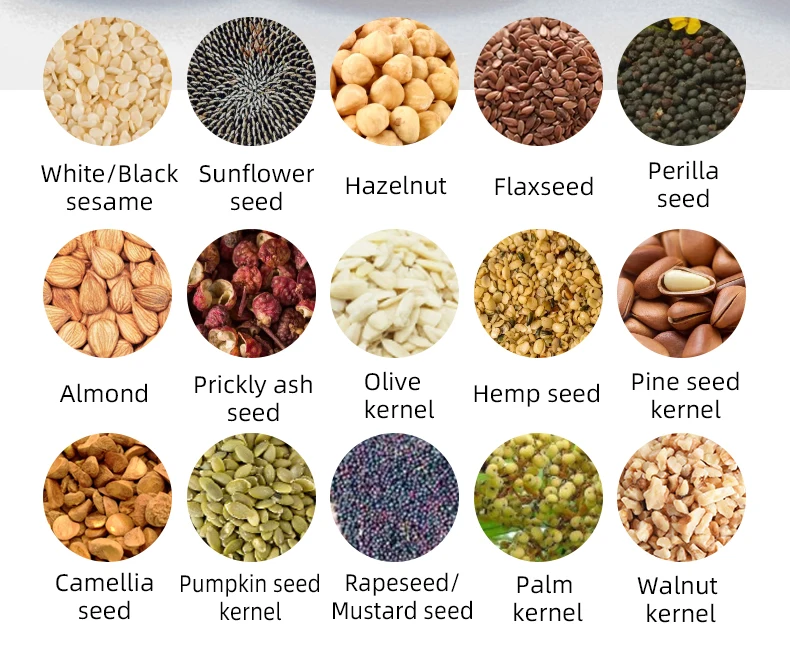 2023 New Type Medium Household Oil Press  On Sale