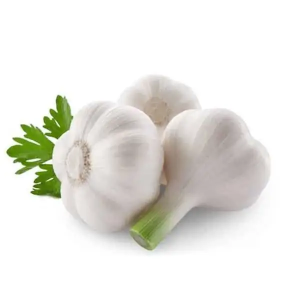 Натуральный дезодорированный экстракт чеснока 1%-5% алицин