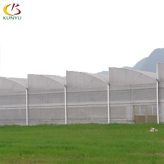 Gothic Arch Greenhouse Tropical Hydroponic System Agriculture Growing Sawtooth Plant House Tomato Planting For Sale