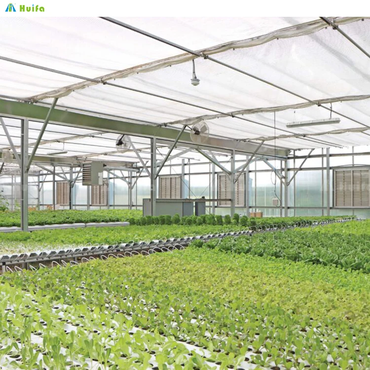 Large Multi-Span Green House Agricultural Vegetable Greenhouse With Tomato Hydroponic Growing System