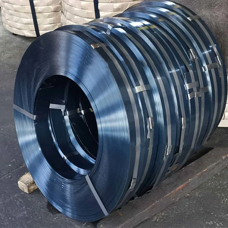 AISI 1095 hot/cold rolled annealed hot sales carbon spring low carbon alloy ms steel strip