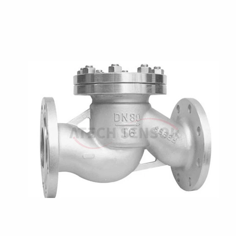 Stainless steel 304 horizontal check valve Anti-backflow swing check valve Lift type one-way check valve