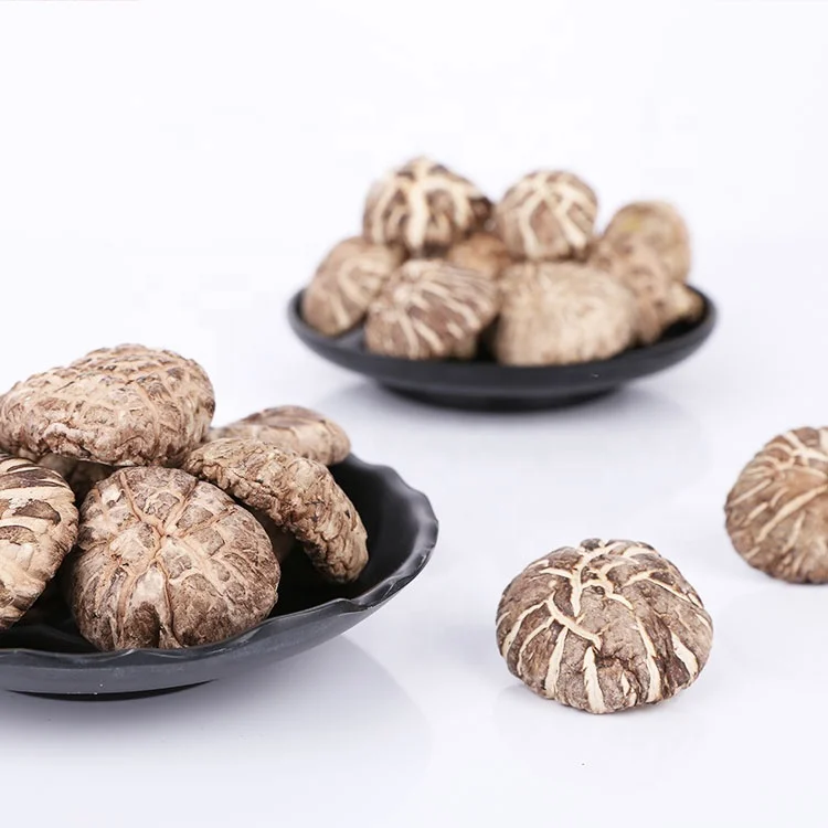 China wholesale top level lentinus edodes dried shiitake flower mushroom