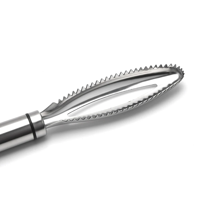 Stainless Steel Kitchen Gadget Fish Scraper With Born Tweezer Set Scaler Brush Fish Scale Remover