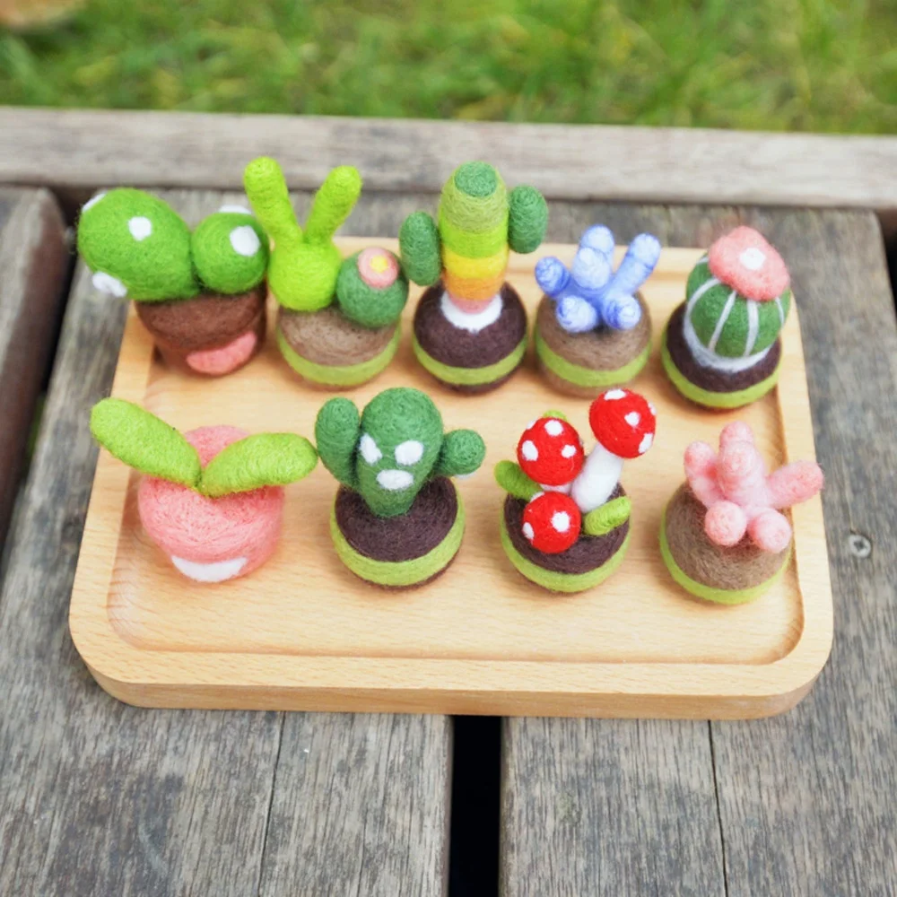 Custom Succulent Plants Needle Felting Beginner Kit DIY Felt Crafts Manufacturer Factory Private Label Logo OEM ODM Service