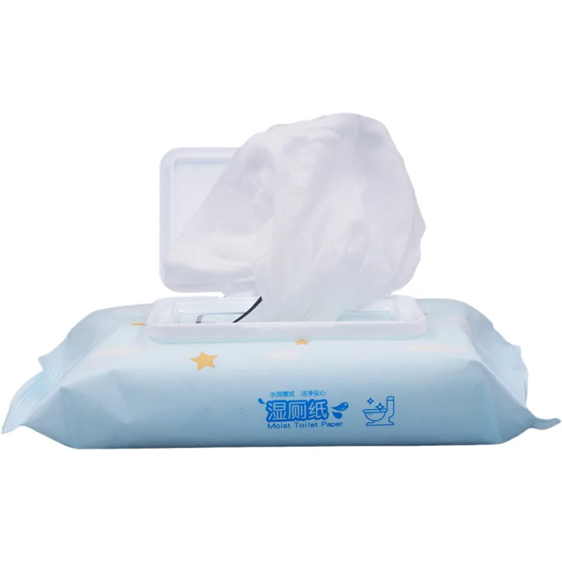 Wholesale Toilet Wet Flushable Wipes Toilet Private Label Custom Logo Flushable Wet Wipes