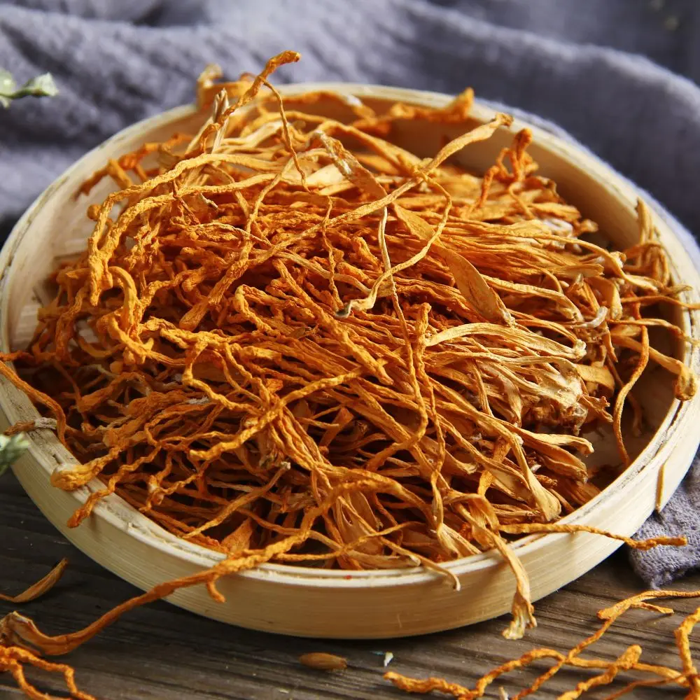 Best Price High-quality Organic Dried golden cordyceps mushroom Flower Dried Cordyceps wholesale price