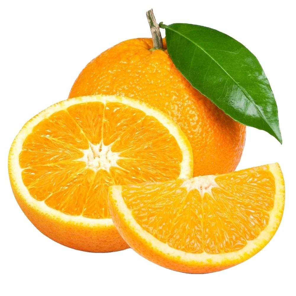 High Quality Wholesale Navel Orange and Valencia Orange Natural Sweet Delicious Fresh Citrus Fruit at Best Price