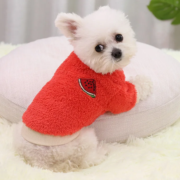 2023 spot style Autumn Winter warm two-legged dog pet supplies Cat clothes New Year costume multiple size