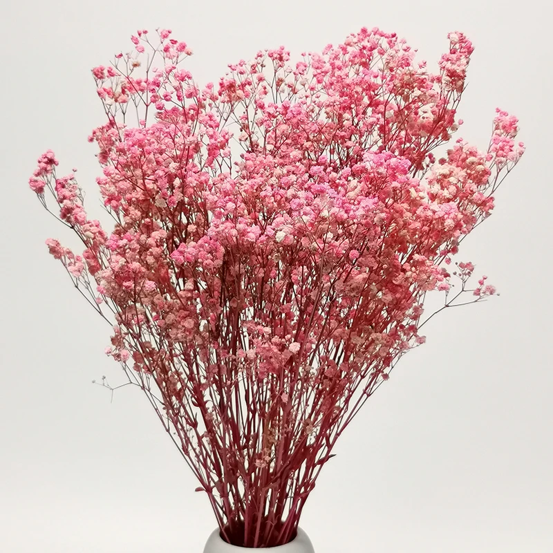 ZanTe 2022 big bunch real touch wedding cream white dried nature preserved baby breath Gypsophila Paniculata babybreath flowers