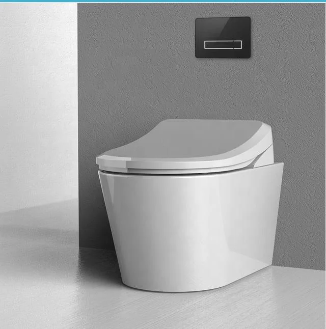 High End Bathroom Electronic Bidet Intelligent Smart Toilet Seat