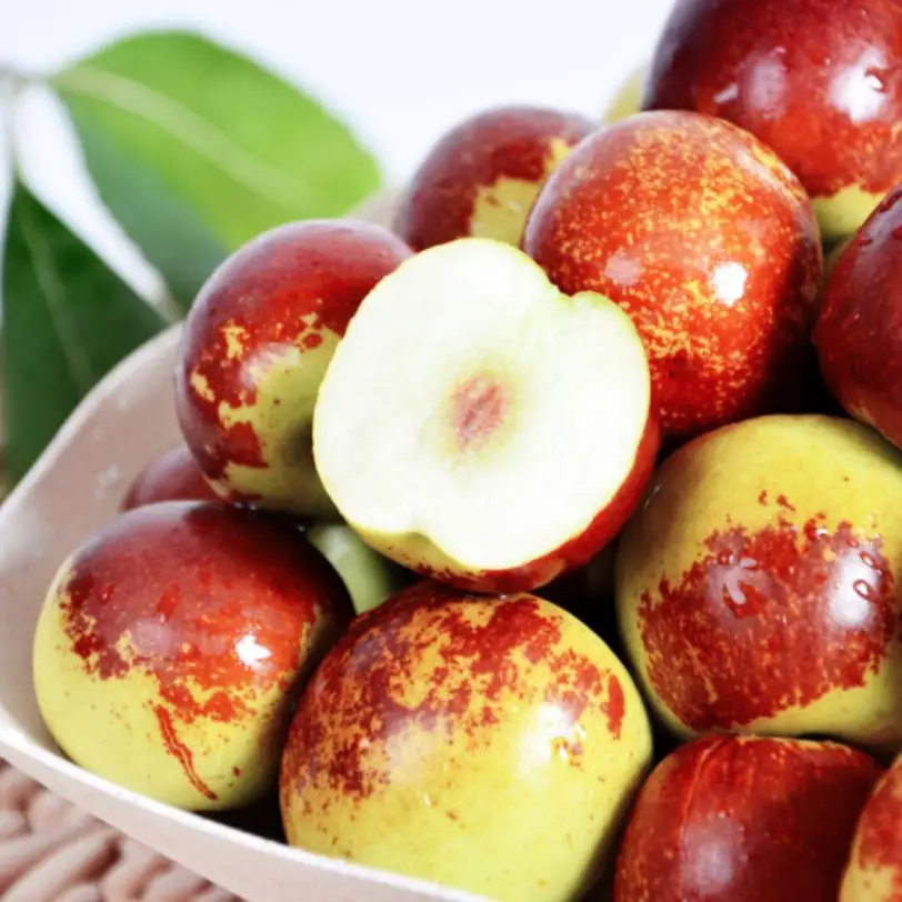 
Fresh Style New Crop Export Grade Jujube fruits Winter Jujube In New Zealand 