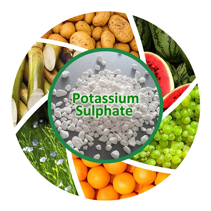 
Water Soluble SOP Fertilizer 0-0-50 Potassium Sulphate Powder Prices 